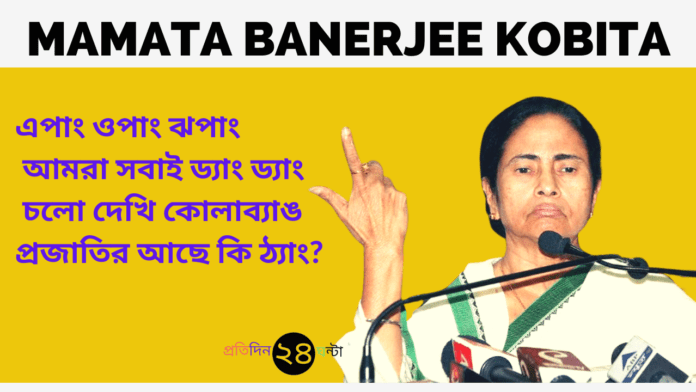 Mamata Banerjee Kobita